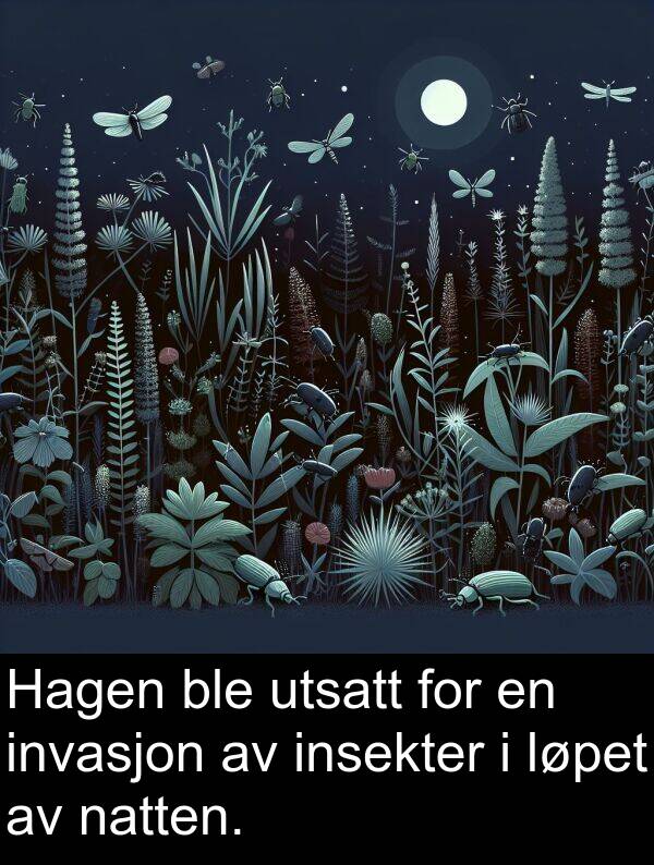 utsatt: Hagen ble utsatt for en invasjon av insekter i løpet av natten.