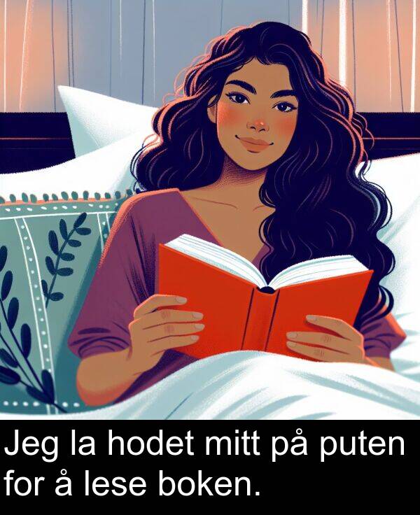 boken: Jeg la hodet mitt på puten for å lese boken.