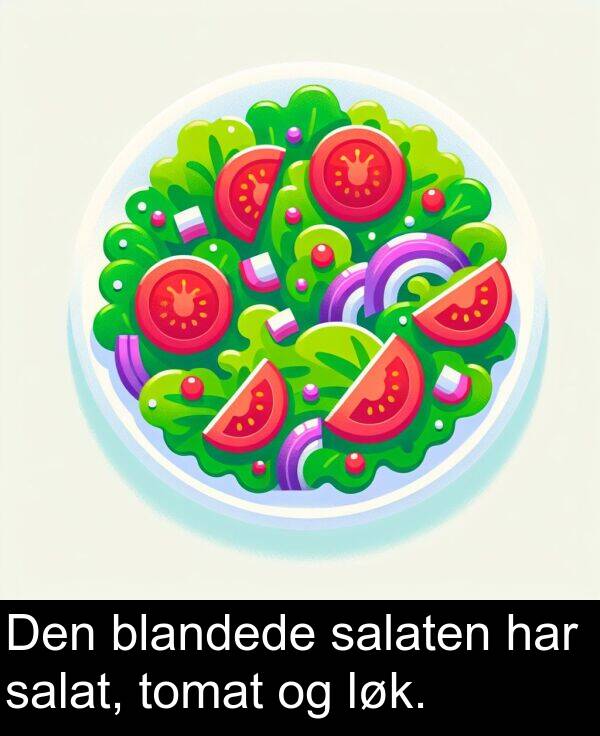 salaten: Den blandede salaten har salat, tomat og løk.