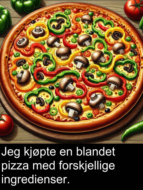 forskjellige: Jeg kjøpte en blandet pizza med forskjellige ingredienser.