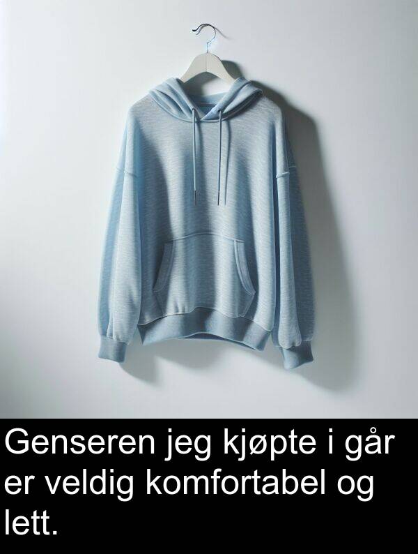 går: Genseren jeg kjøpte i går er veldig komfortabel og lett.