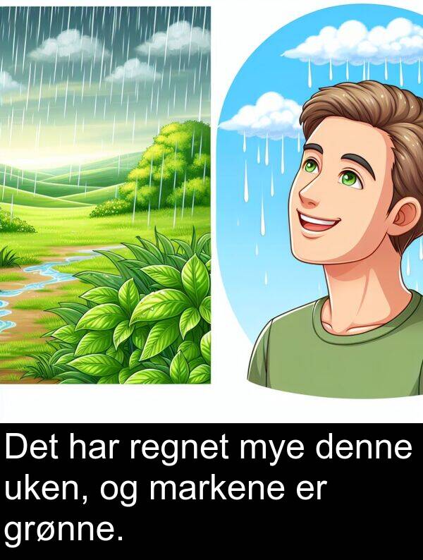 regnet: Det har regnet mye denne uken, og markene er grønne.