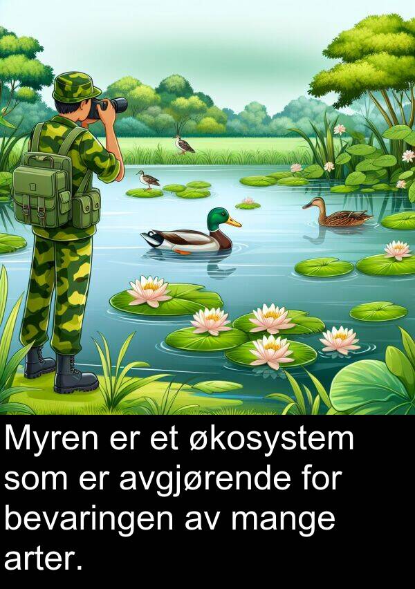 økosystem: Myren er et økosystem som er avgjørende for bevaringen av mange arter.