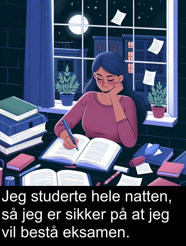 studerte: Jeg studerte hele natten, så jeg er sikker på at jeg vil bestå eksamen.