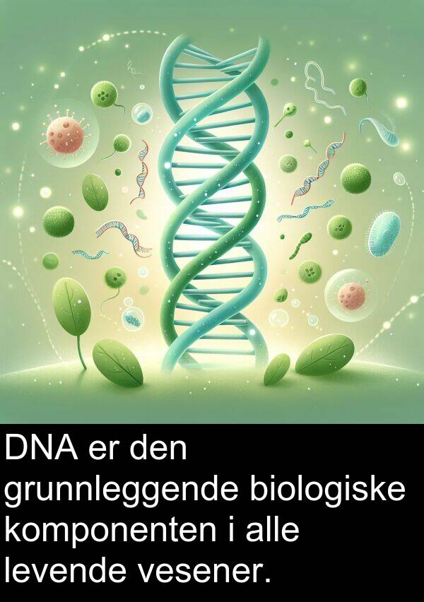 grunnleggende: DNA er den grunnleggende biologiske komponenten i alle levende vesener.