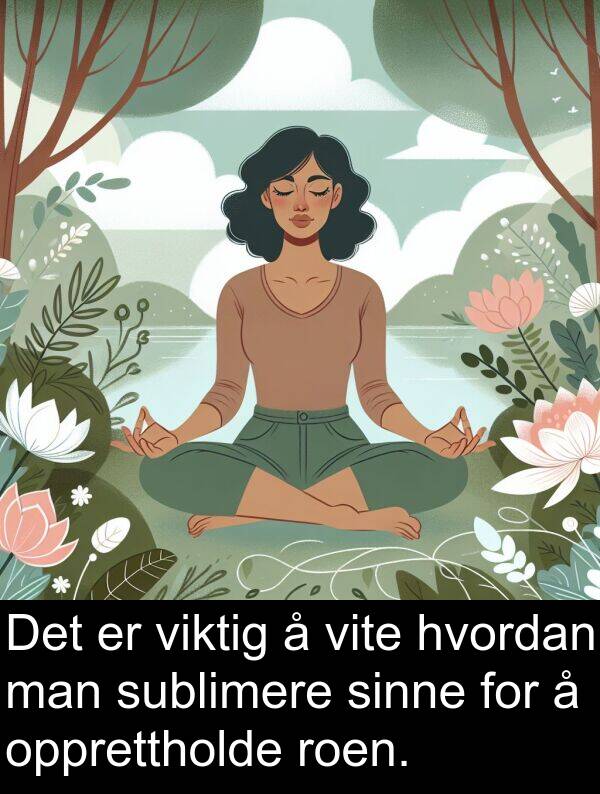 opprettholde: Det er viktig å vite hvordan man sublimere sinne for å opprettholde roen.