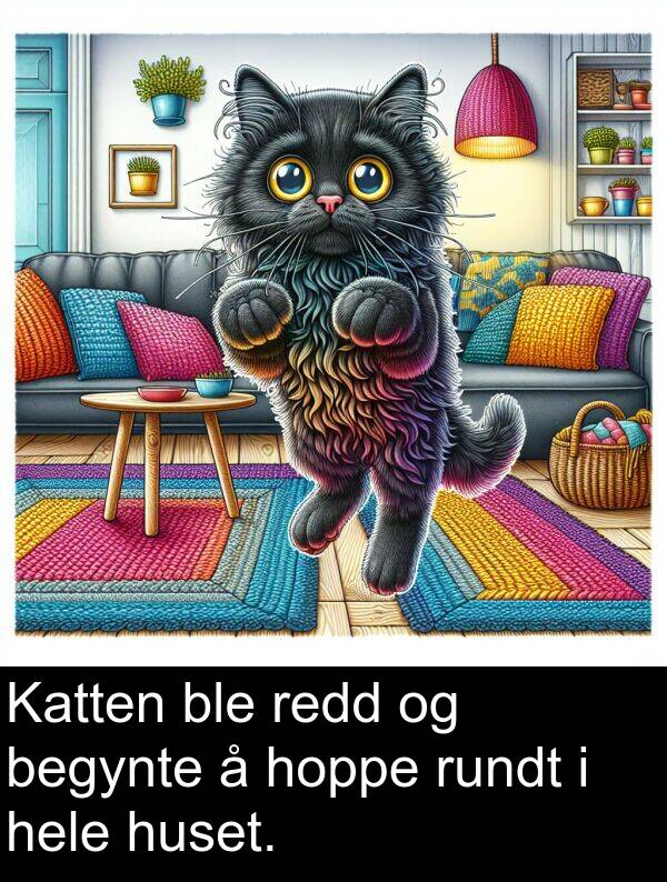 redd: Katten ble redd og begynte å hoppe rundt i hele huset.