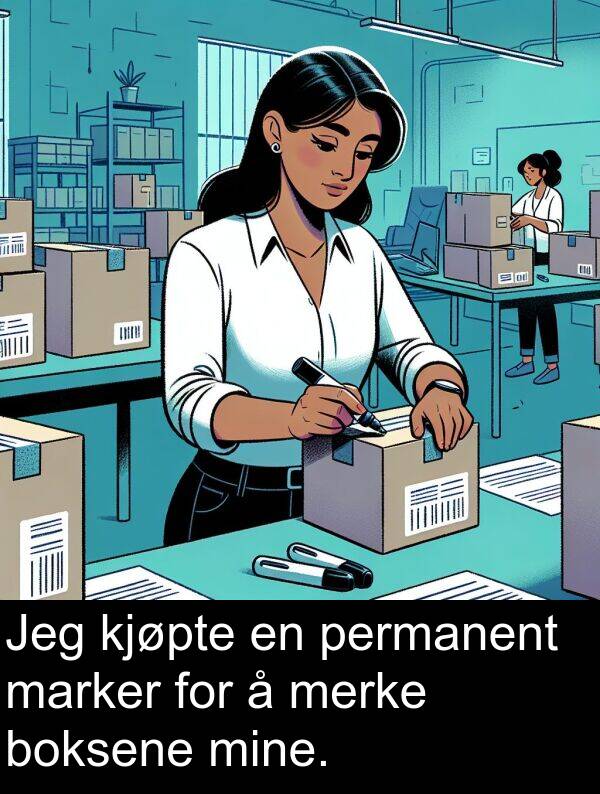 merke: Jeg kjøpte en permanent marker for å merke boksene mine.