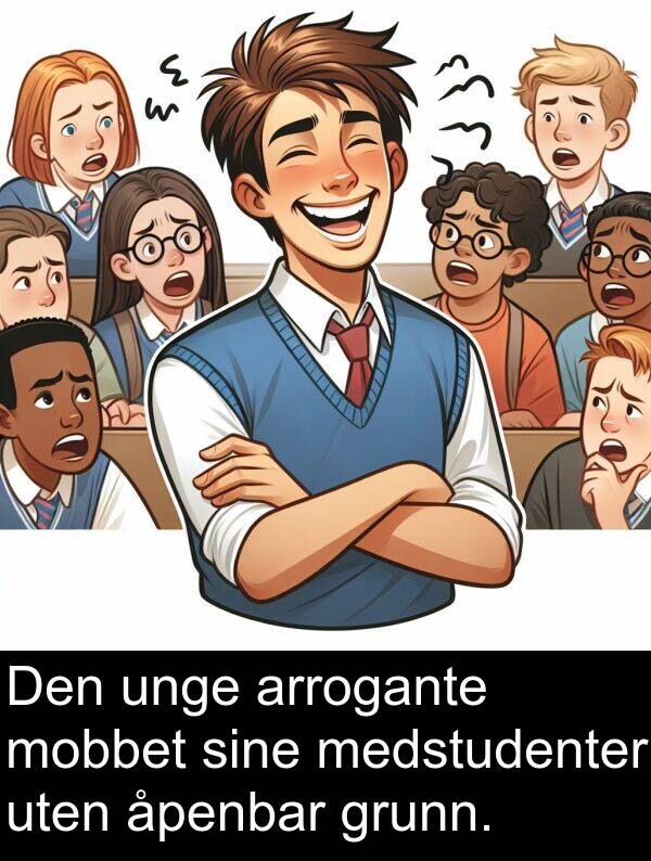 grunn: Den unge arrogante mobbet sine medstudenter uten åpenbar grunn.