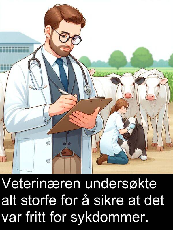 undersøkte: Veterinæren undersøkte alt storfe for å sikre at det var fritt for sykdommer.
