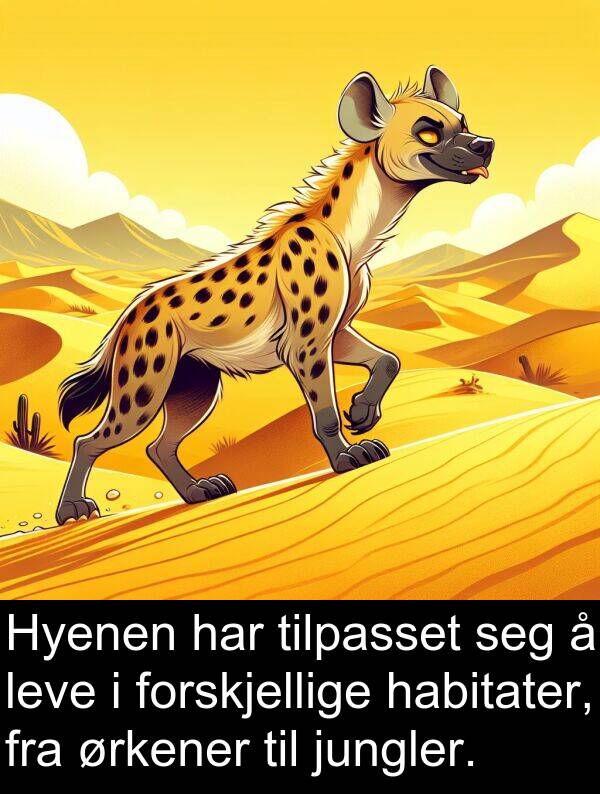 habitater: Hyenen har tilpasset seg å leve i forskjellige habitater, fra ørkener til jungler.