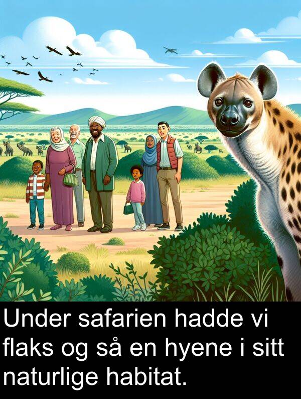 habitat: Under safarien hadde vi flaks og så en hyene i sitt naturlige habitat.