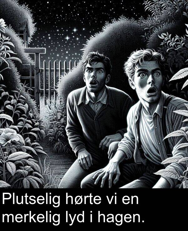 merkelig: Plutselig hørte vi en merkelig lyd i hagen.