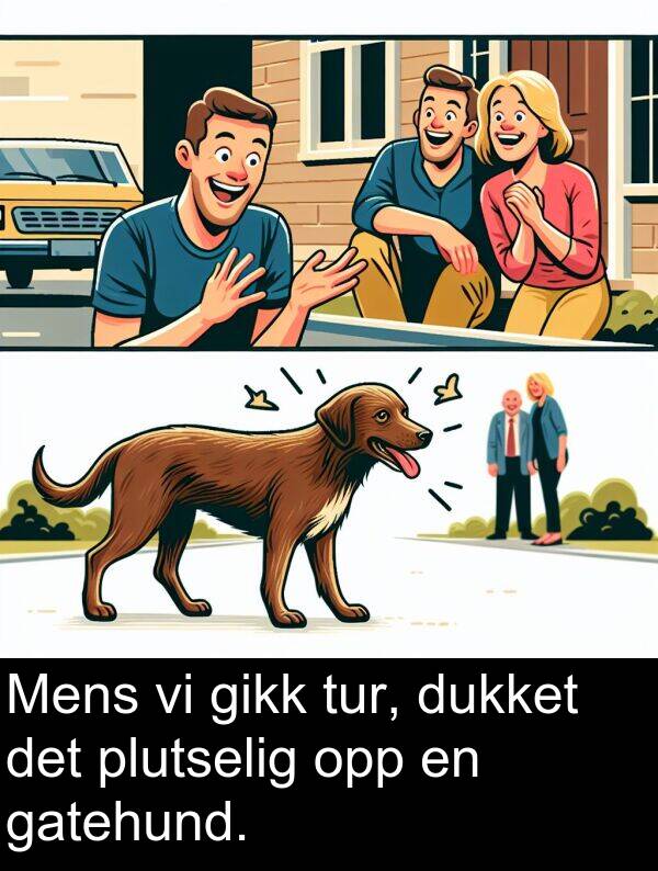 opp: Mens vi gikk tur, dukket det plutselig opp en gatehund.