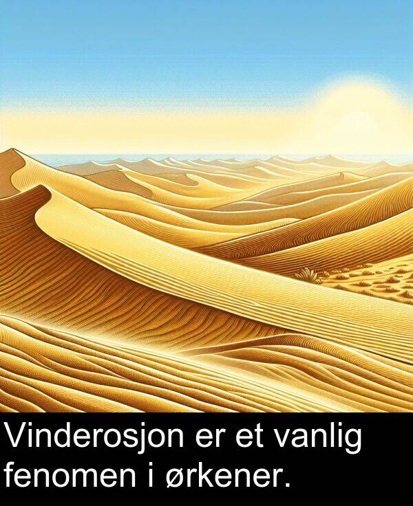 fenomen: Vinderosjon er et vanlig fenomen i ørkener.