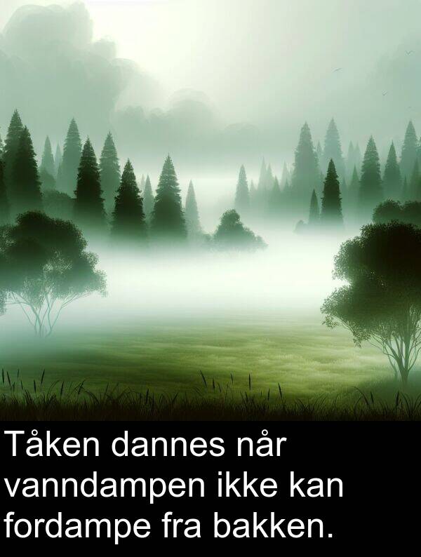 bakken: Tåken dannes når vanndampen ikke kan fordampe fra bakken.