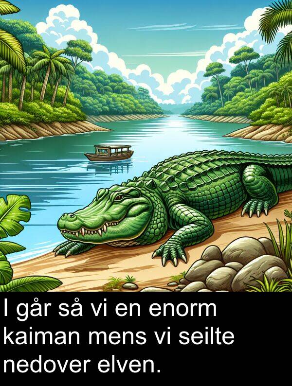 seilte: I går så vi en enorm kaiman mens vi seilte nedover elven.