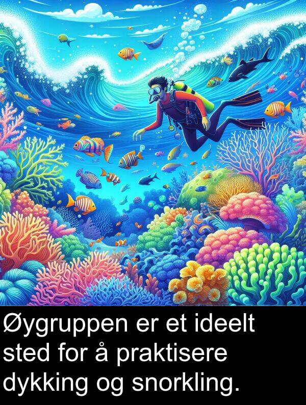 sted: Øygruppen er et ideelt sted for å praktisere dykking og snorkling.