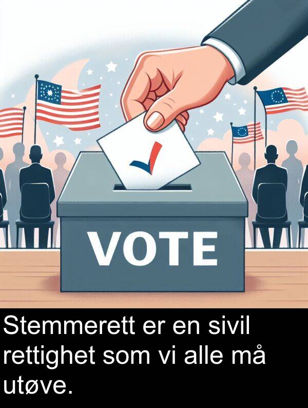 rettighet: Stemmerett er en sivil rettighet som vi alle må utøve.