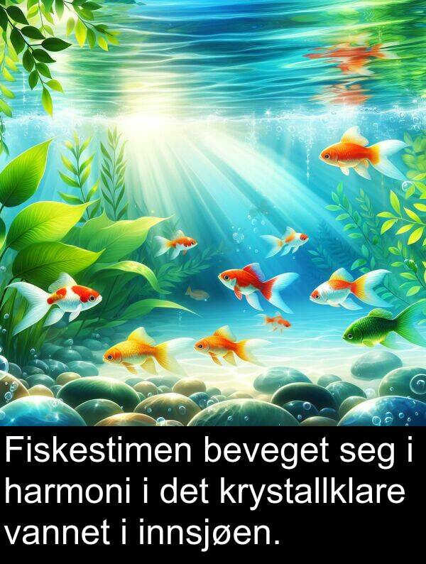harmoni: Fiskestimen beveget seg i harmoni i det krystallklare vannet i innsjøen.