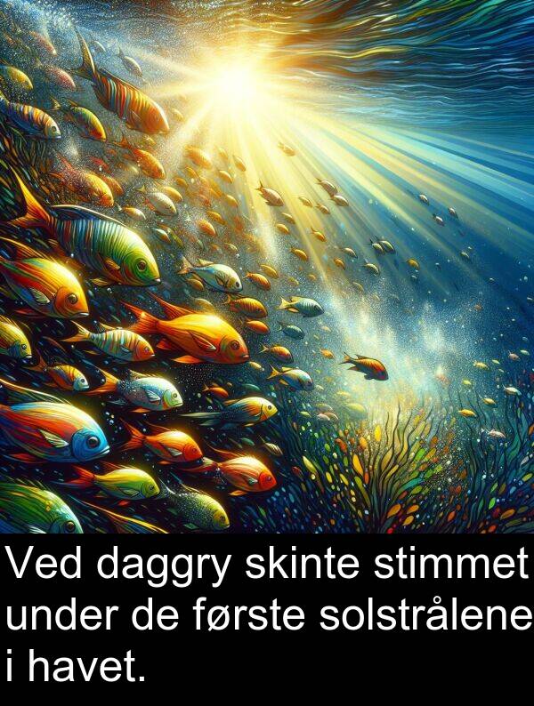 under: Ved daggry skinte stimmet under de første solstrålene i havet.