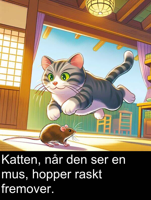 raskt: Katten, når den ser en mus, hopper raskt fremover.