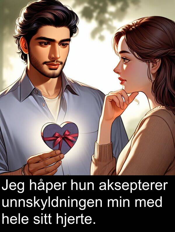unnskyldningen: Jeg håper hun aksepterer unnskyldningen min med hele sitt hjerte.