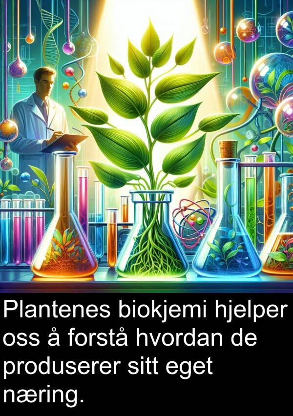 næring: Plantenes biokjemi hjelper oss å forstå hvordan de produserer sitt eget næring.