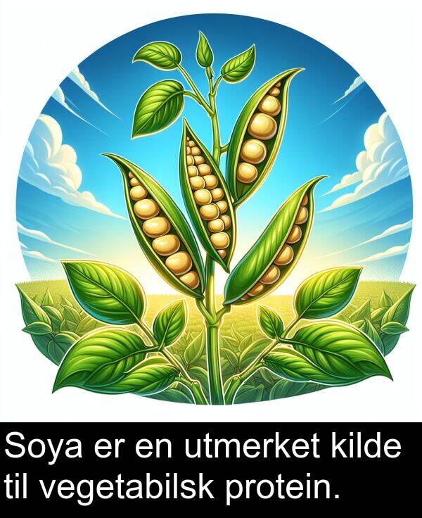 kilde: Soya er en utmerket kilde til vegetabilsk protein.