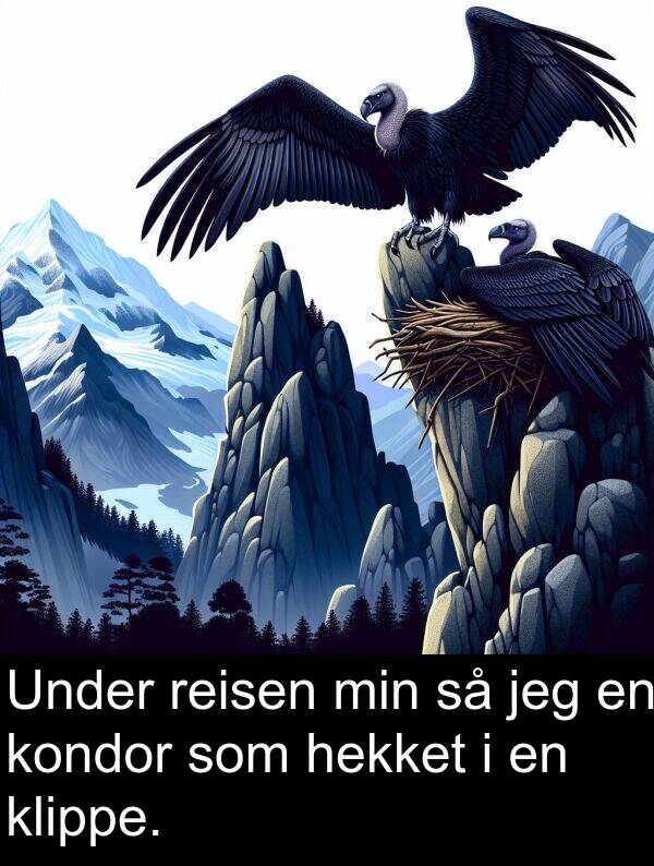 reisen: Under reisen min så jeg en kondor som hekket i en klippe.