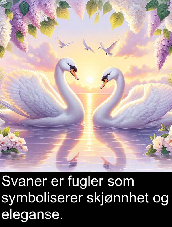 fugler: Svaner er fugler som symboliserer skjønnhet og eleganse.
