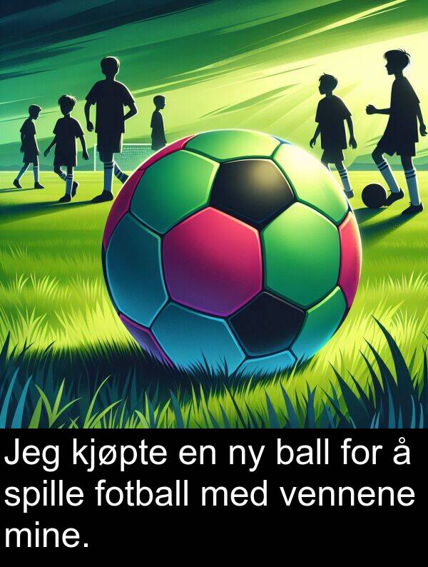 ball: Jeg kjøpte en ny ball for å spille fotball med vennene mine.