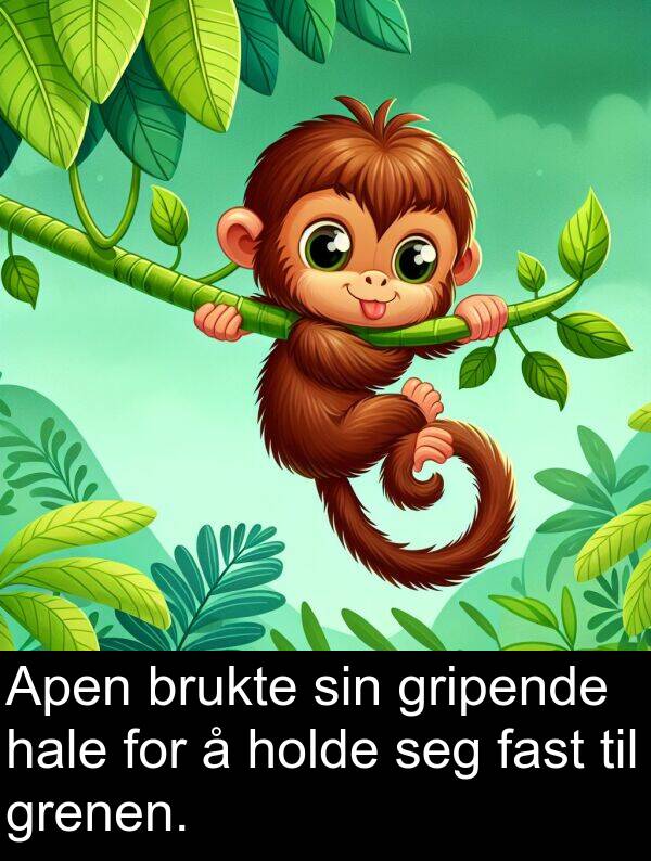 fast: Apen brukte sin gripende hale for å holde seg fast til grenen.
