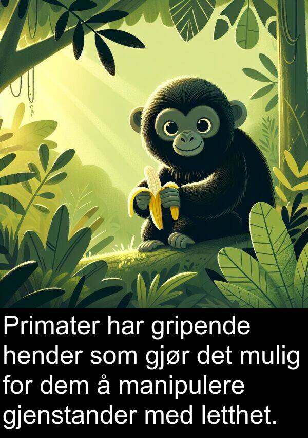 manipulere: Primater har gripende hender som gjør det mulig for dem å manipulere gjenstander med letthet.