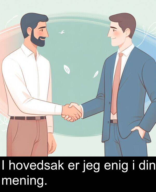 din: I hovedsak er jeg enig i din mening.