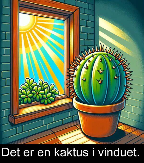 kaktus: Det er en kaktus i vinduet.