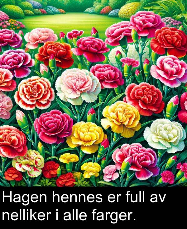 farger: Hagen hennes er full av nelliker i alle farger.