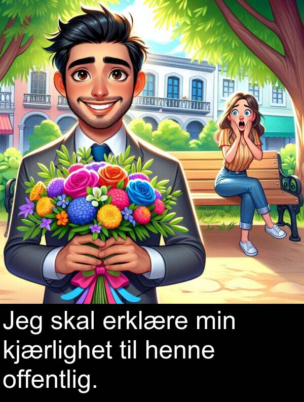 kjærlighet: Jeg skal erklære min kjærlighet til henne offentlig.