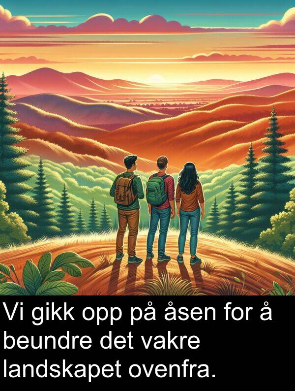 ovenfra: Vi gikk opp på åsen for å beundre det vakre landskapet ovenfra.