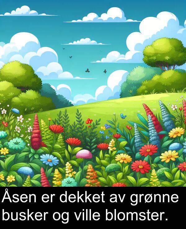 dekket: Åsen er dekket av grønne busker og ville blomster.