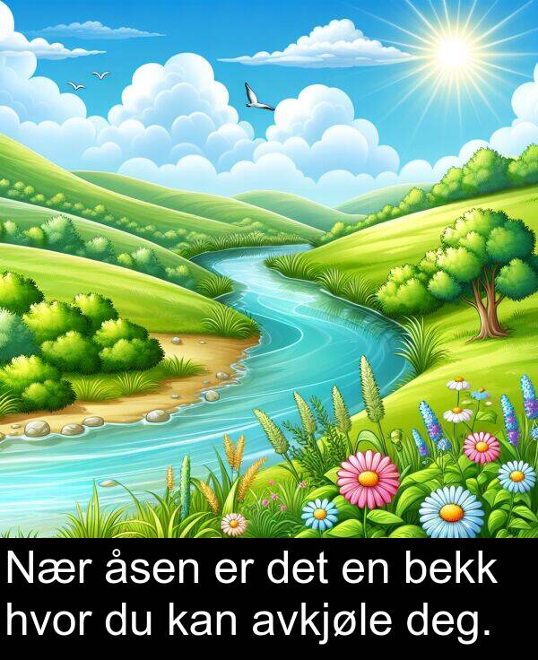 det: Nær åsen er det en bekk hvor du kan avkjøle deg.