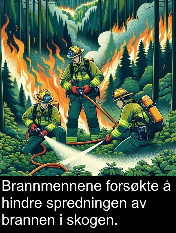 skogen: Brannmennene forsøkte å hindre spredningen av brannen i skogen.