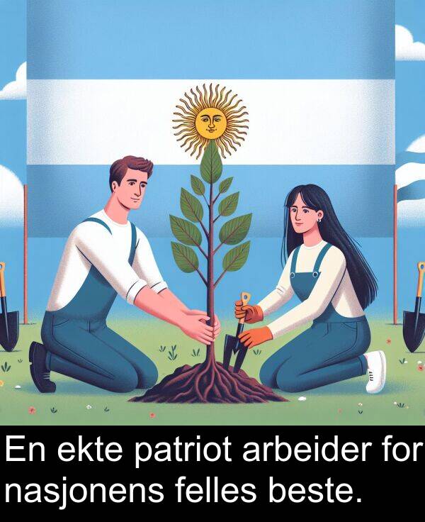 patriot: En ekte patriot arbeider for nasjonens felles beste.