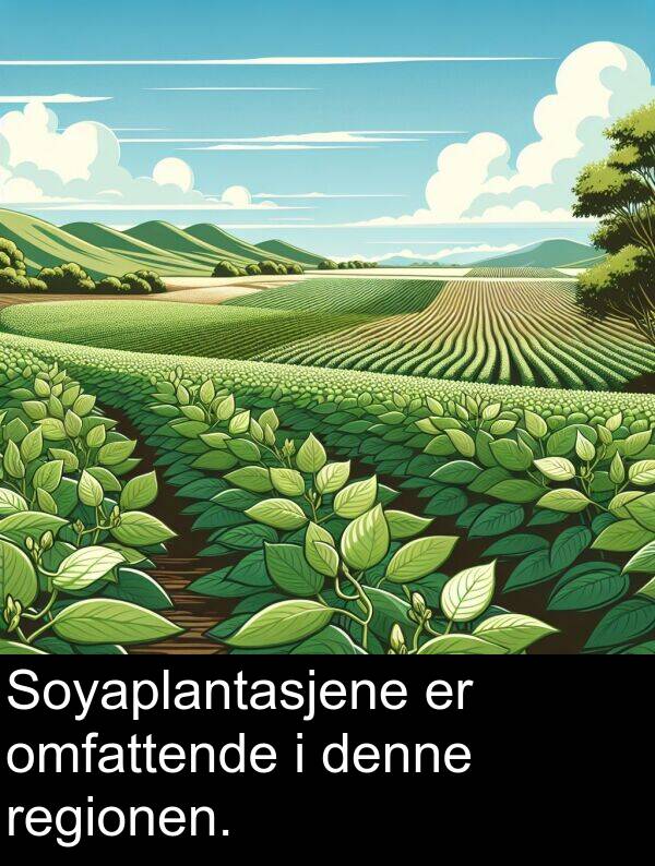 omfattende: Soyaplantasjene er omfattende i denne regionen.