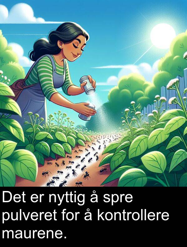 maurene: Det er nyttig å spre pulveret for å kontrollere maurene.