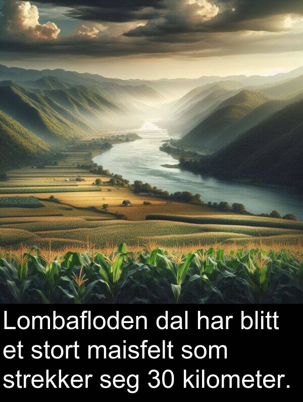 kilometer: Lombafloden dal har blitt et stort maisfelt som strekker seg 30 kilometer.