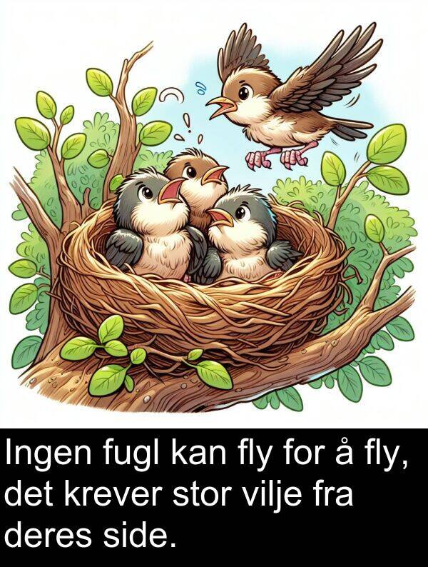 fly: Ingen fugl kan fly for å fly, det krever stor vilje fra deres side.