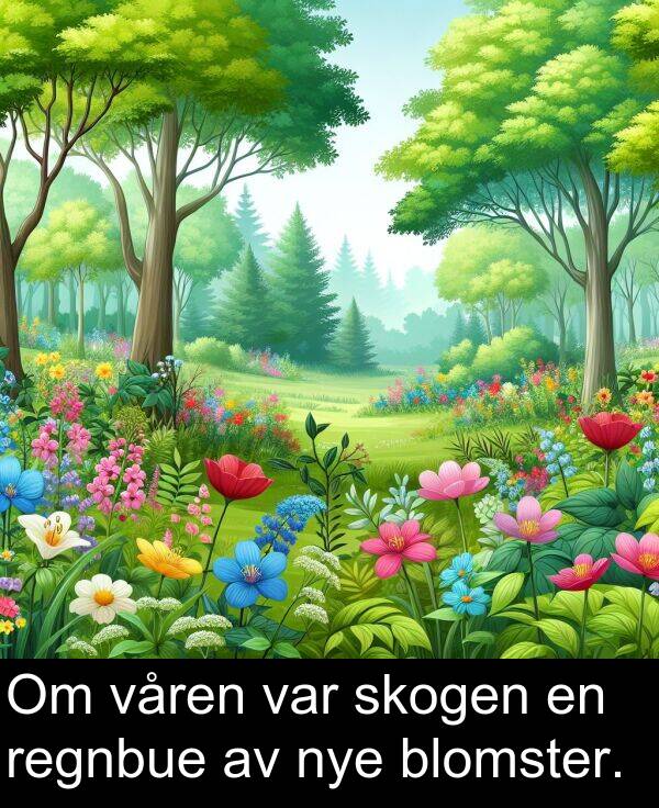 skogen: Om våren var skogen en regnbue av nye blomster.