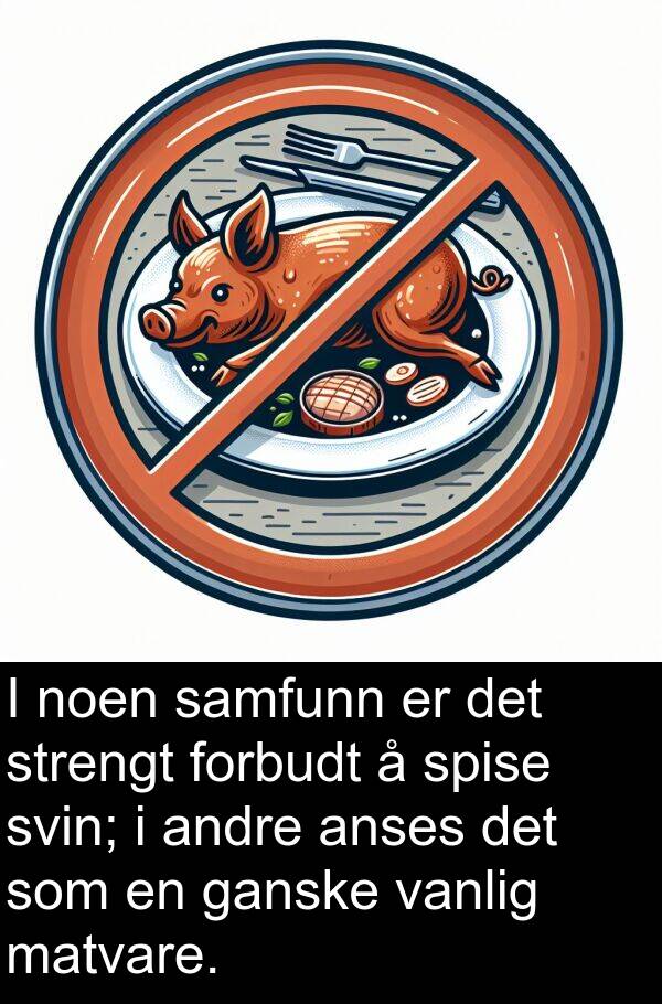 samfunn: I noen samfunn er det strengt forbudt å spise svin; i andre anses det som en ganske vanlig matvare.