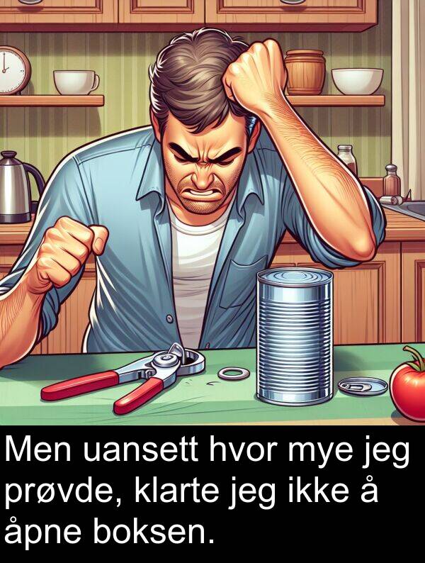 uansett: Men uansett hvor mye jeg prøvde, klarte jeg ikke å åpne boksen.
